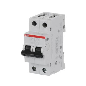  DISJ S202L 2P 16A COURBE C RAC 