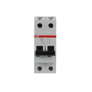  DISJ S202L 2P 20A COURBE C RAC 