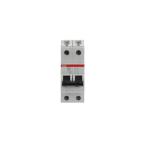  DISJ S202L 2P 63A COURBE C RAC 