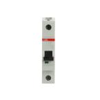  DISJ S201 1P 6A COURBE C RACCO 
