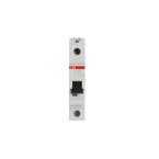  DISJ S201 1P 2A COURBE D RACCO 