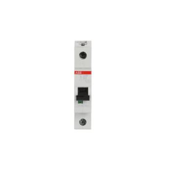  DISJ S201 1P 2A COURBE D RACCO 