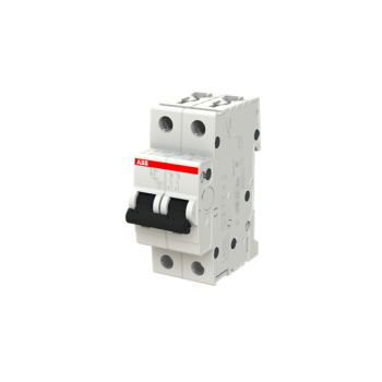  DISJ S202 2P 6A COURBE B RACCO 