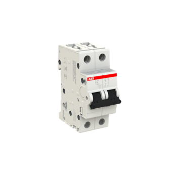  DISJ S202 2P 6A COURBE B RACCO 