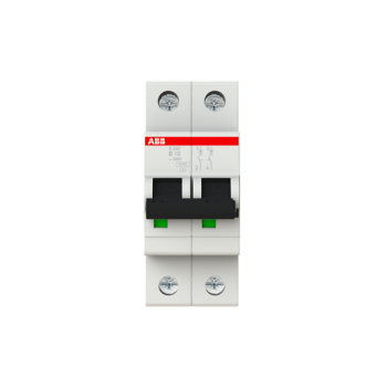  DISJ S202 2P 10A COURBE B RACC 