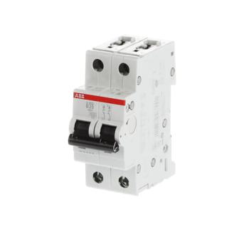  DISJ S202 2P 20A COURBE B RACC 