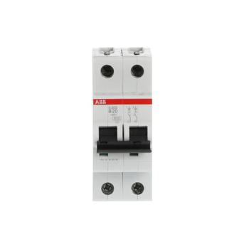  DISJ S202 2P 20A COURBE B RACC 