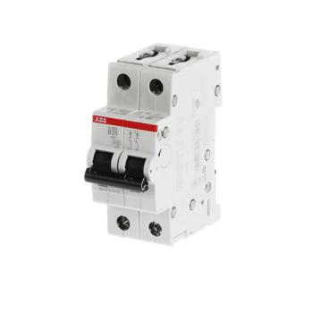  DISJ S202 2P 25A COURBE B RACC 