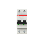  DISJ S202 2P 32A COURBE B RACC 