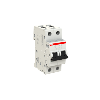  DISJ S202 2P 32A COURBE B RACC 