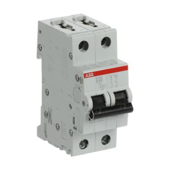  DISJ S202 2P 40A COURBE B RACC 