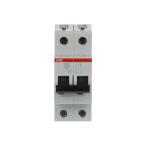  DISJ S202 2P 50A COURBE B RACC 