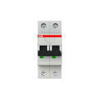  DISJ S202 2P 63A COURBE B RACC 