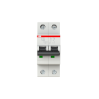  DISJ S202 2P 0.5A COURBE C RAC 