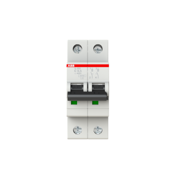  DISJ S202 2P 0.5A COURBE C RAC 