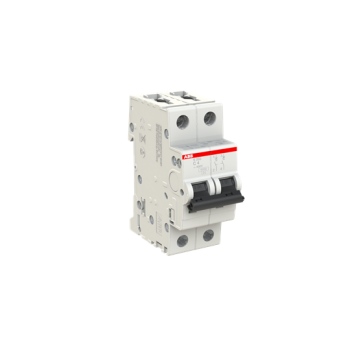  DISJ S202 2P 4A COURBE C RACCO 