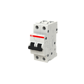  DISJ S202 2P 6A COURBE C RACCO 