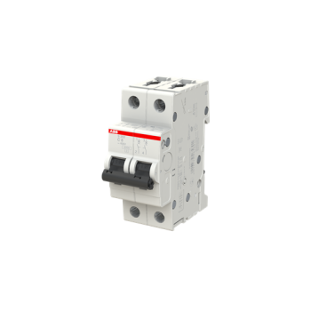  DISJONCTEUR S202 2P 8A COURBE 