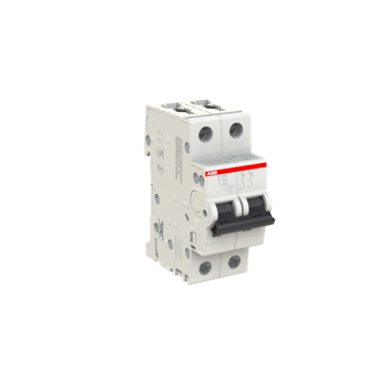  DISJ S202 2P 16A COURBE C RACC 