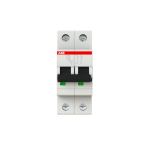  DISJ S202 2P 32A COURBE C RACC 