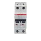  DISJ S202 2P 63A COURBE C RACC 