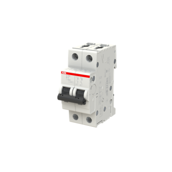  DISJ S202 2P 1A COURBE D RACCO 
