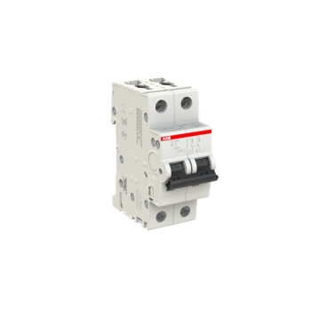  DISJ S202 2P 1A COURBE D RACCO 