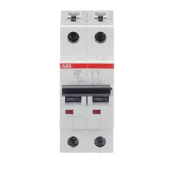  DISJ S202 2P 4A COURBE D RACCO 