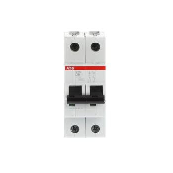  DISJONCTEUR S202 2P 8A COURBE 