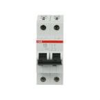  DISJ S202 2P 32A COURBE D RACC 