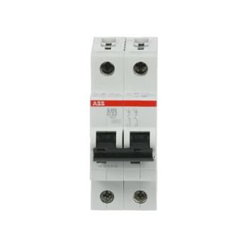  DISJ S202 2P 32A COURBE D RACC 