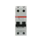  DISJ S202 2P 40A COURBE D RACC 