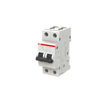  DISJ S202 2P 50A COURBE D RACC 