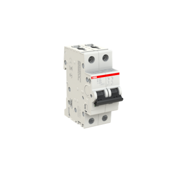  DISJ S202 2P 50A COURBE D RACC 