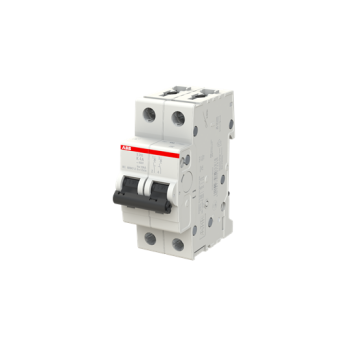  DISJ S202 2P 4A COURBE K RACCO 