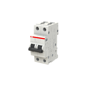  DISJ S202 2P 6A COURBE K RACCO 