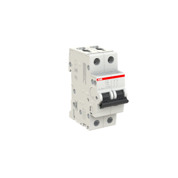  DISJONCTEUR S202 2P 8A COURBE 