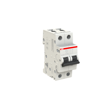  DISJONCTEUR S202 2P 13A COURBE 