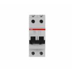  DISJ S202 2P 16A COURBE K RACC 