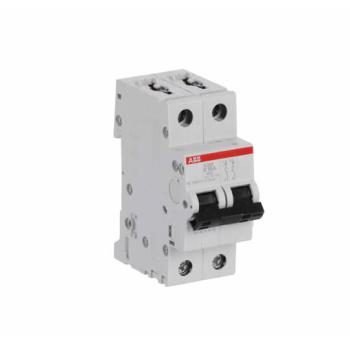  DISJ S202 2P 16A COURBE K RACC 