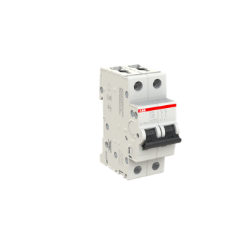  DISJ S202 2P 3A COURBE Z RACCO 