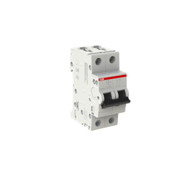  DISJ S202 2P 40A COURBE Z RACC 