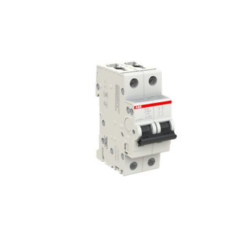  DISJ S202 2P 50A COURBE Z RACC 