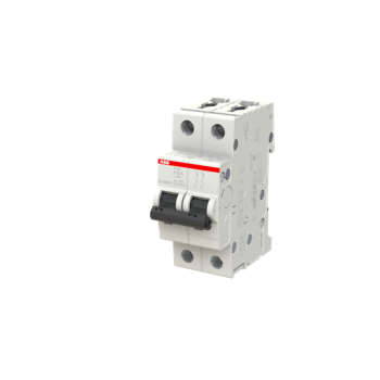  DISJ S202 2P 63A COURBE Z RACC 