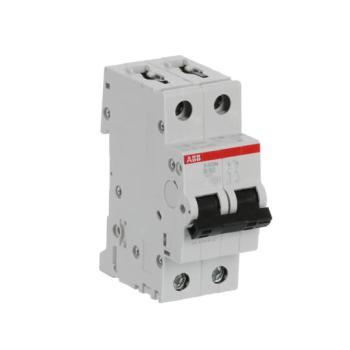  DISJ S202M 2P 50A COURBE B RAC 