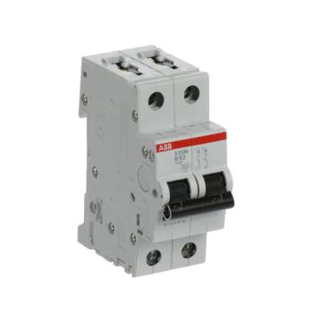  DISJ S202M 2P 63A COURBE B RAC 