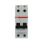  DISJ S202M 2P 0.5A COURBE C RA 
