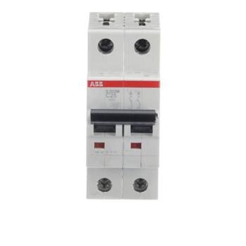 DISJ S202M 2P 25A COURBE C RAC 