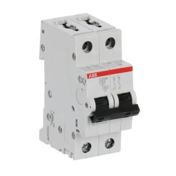  DISJ S202M 2P 63A COURBE C RAC 
