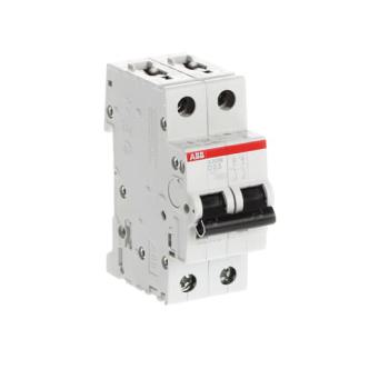  DISJ S202M 2P 0.5A COURBE D RA 